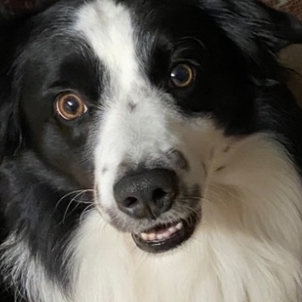 Meet your Posher, Olga